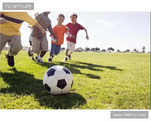 盖尔式足球运动文化与竞技精神在现代体育中的价值探索发展路径