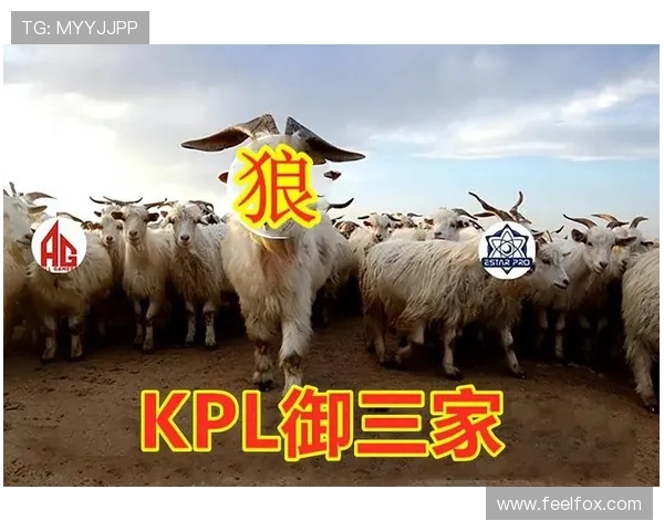 WB第1局战术解析:射野围攻AG核心选手布局策略分析