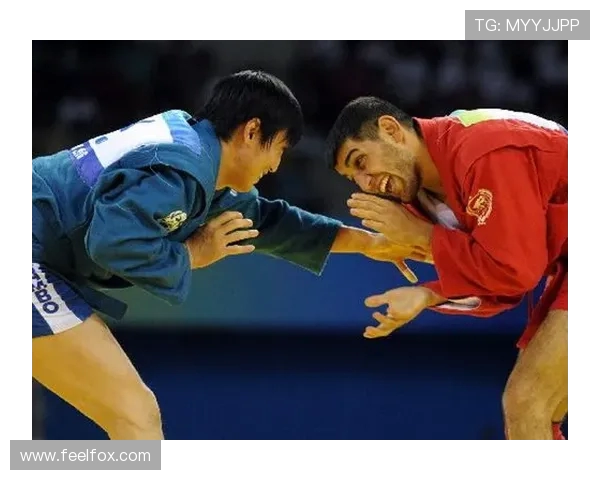 世界桑搏锦标赛战术配合的逻辑分析谈