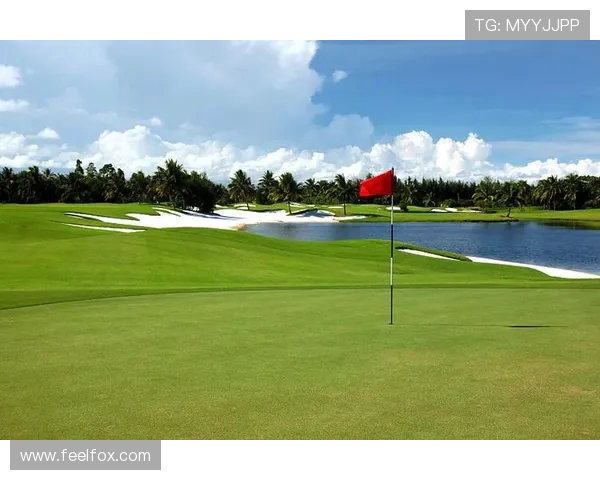 全球顶级高尔夫球场果岭平整度激光测